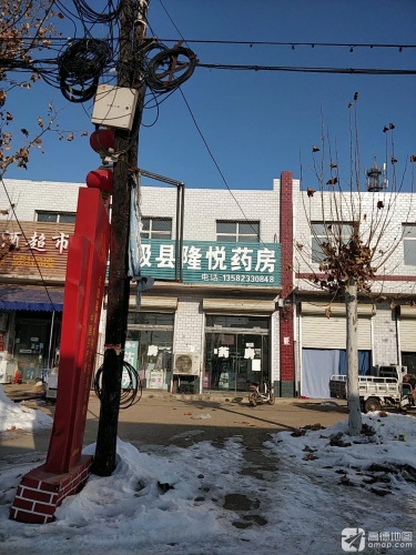 无极县隆悦药房