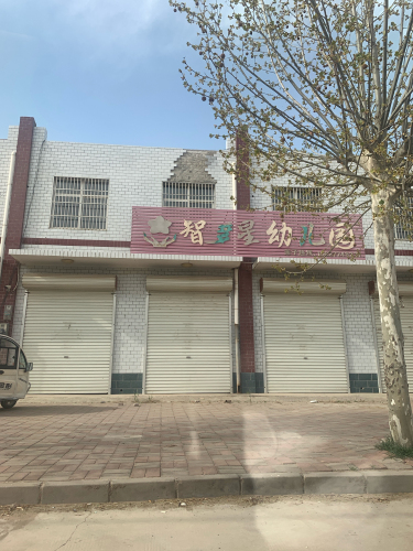 智多星幼儿园