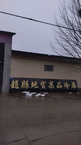赵县地宝果品冷库