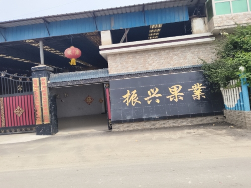 振兴果业