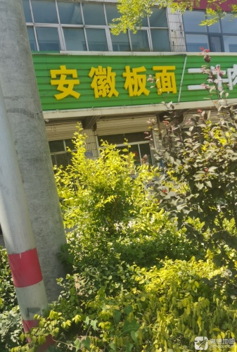 安徽太和板面(S203店)
