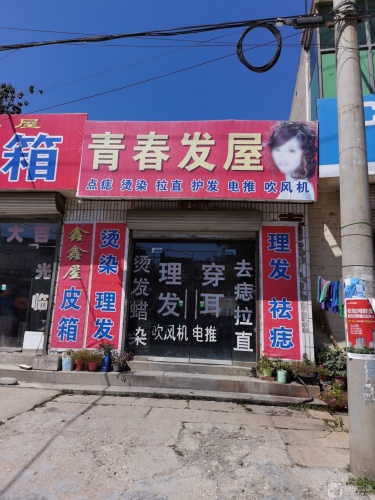 青春发屋