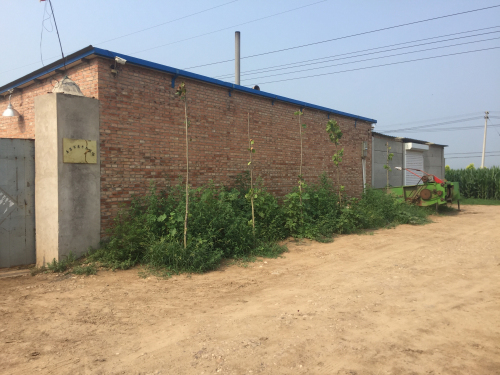 辛集市鑫牛养殖场
