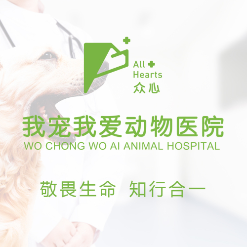 众心·我宠我爱动物医院·猫科·外科(塔南路店)