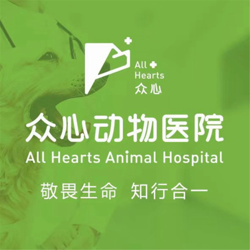 众心·我宠我爱动物医院·猫科·外科(塔南路店)