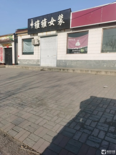 维维女装