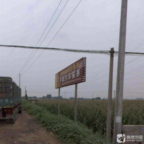 子跃汽车保养