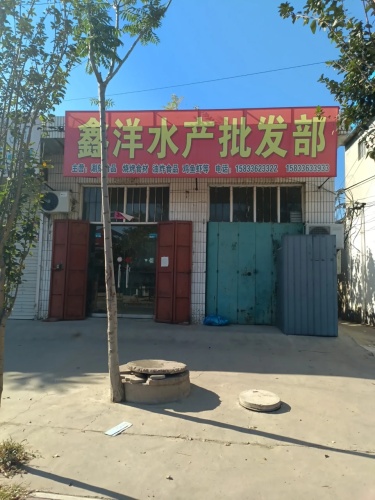 鑫洋水产批发部