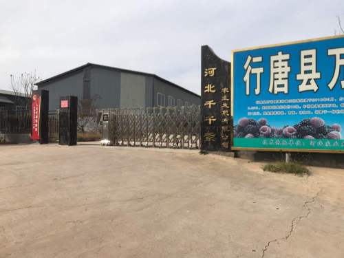 河北千千紫农业发展有限公司