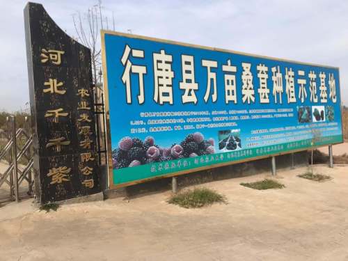 河北千千紫农业发展有限公司