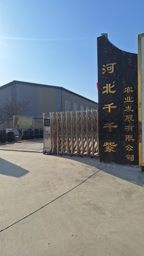 河北千千紫农业发展有限公司