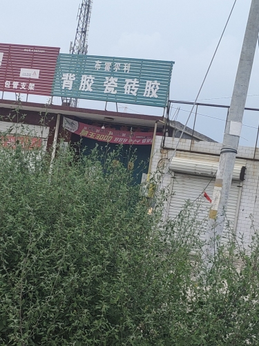 布雷尔利背胶