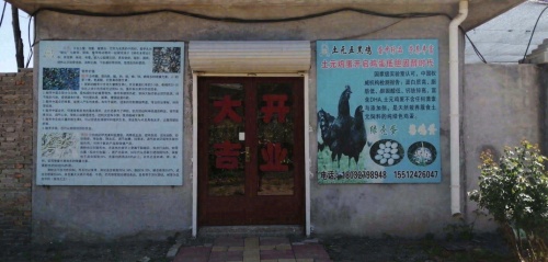 绿雉元土元鸡蛋养殖基地