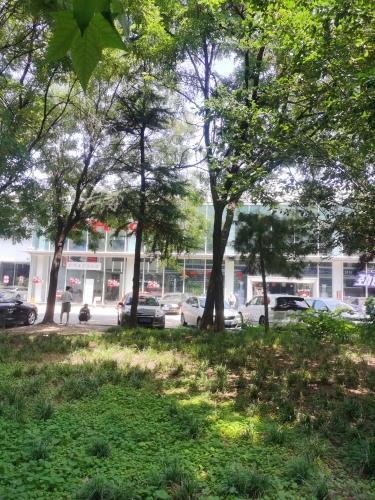 广汽Acura石家庄恒达店