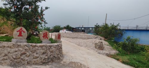 金坂脑石榴基地