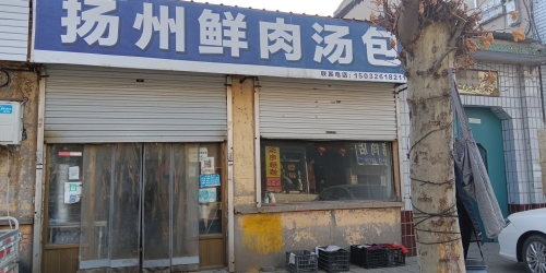 扬州鲜肉汤包