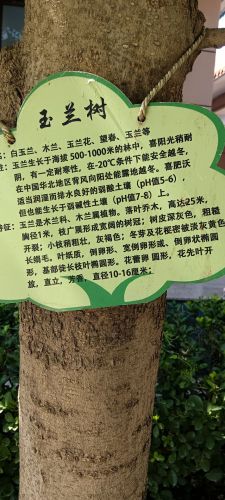 小河庄生态观光园
