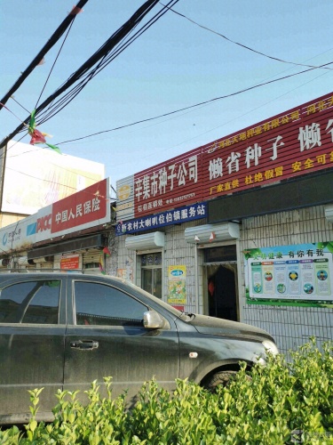 辛集市种子公司(位伯直销处)