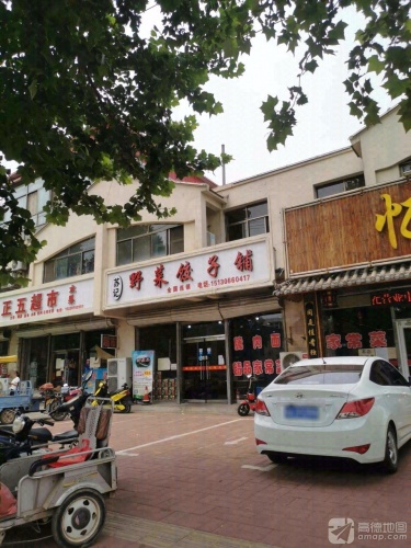 苏记野菜饺子铺(桃源街店)
