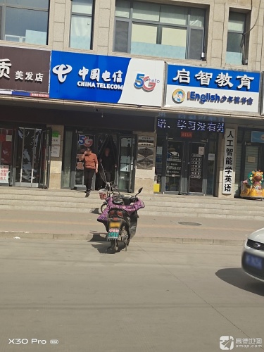 中国电信(岳村社区服务店)
