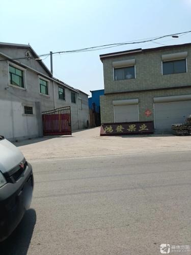 鸿发果业