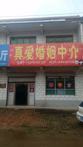 真爱婚姻中介服务部