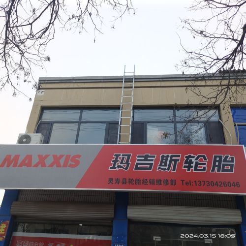 玛吉斯轮胎(正南南大街店)