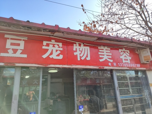 金豆宠物美容