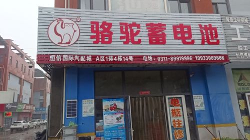 骆驼电瓶