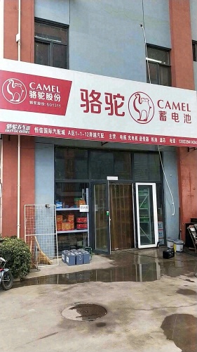 骆驼电瓶