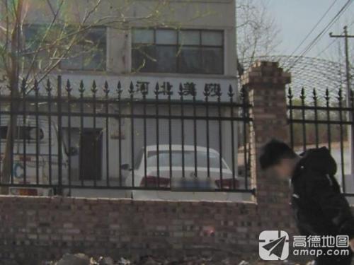 河北美莎商贸有限公司