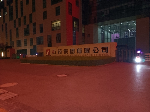 石药集团有限公司