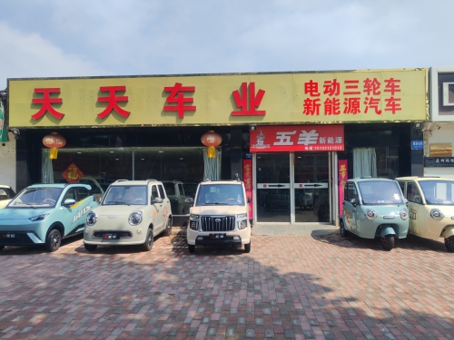 天天车业