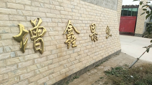 石家庄市赵县赵州增鑫果业