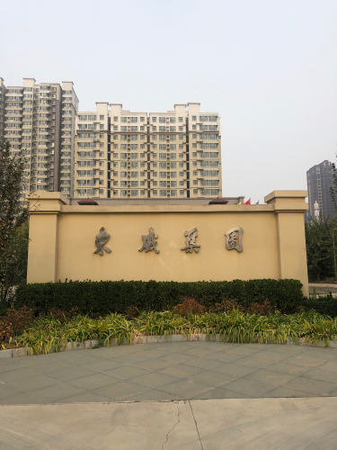 东盛集团