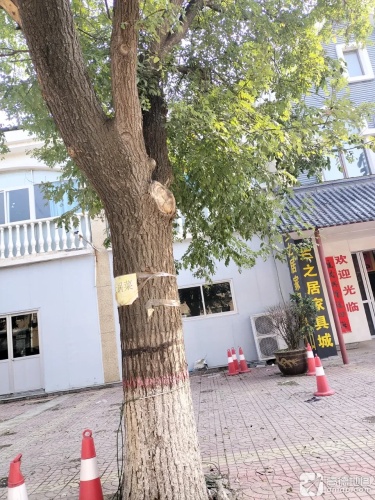 兰之居家具销售中心