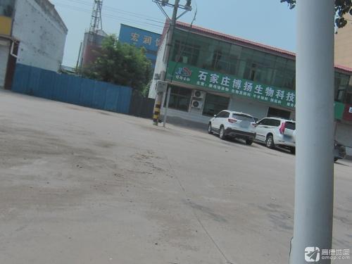 石家庄博扬生物科技有限公司