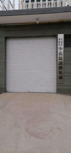 石家庄少云信鸽俱乐部