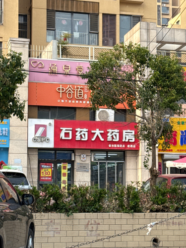 石药大药房(凌透店)