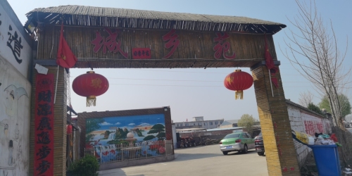 城乡苑鸽子王