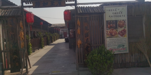 城乡苑鸽子王
