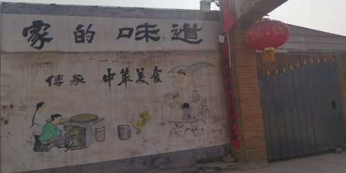 城乡苑鸽子王