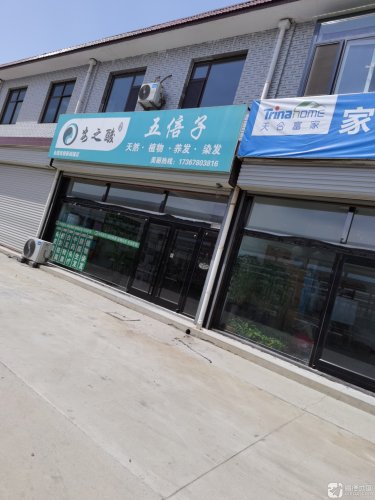 安之酸五倍子天然植物养发染发