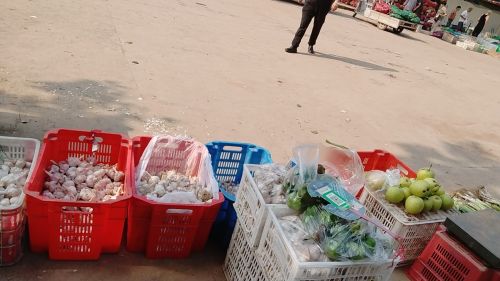 双庙蔬菜批发市场(暂停营业)