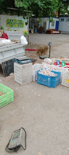双庙蔬菜批发市场(暂停营业)