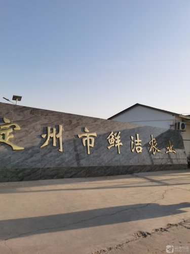 定州市鲜洁农业
