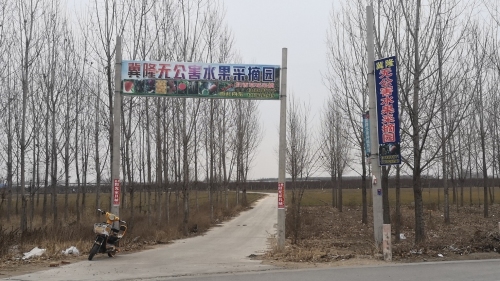 定州市冀隆水果农民专业合作社