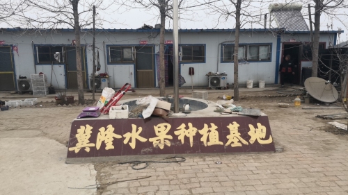 定州市冀隆水果农民专业合作社