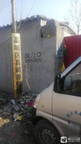 藁城区真诚养殖场