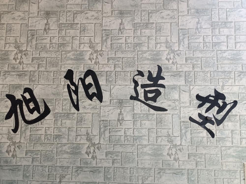 旭阳造型